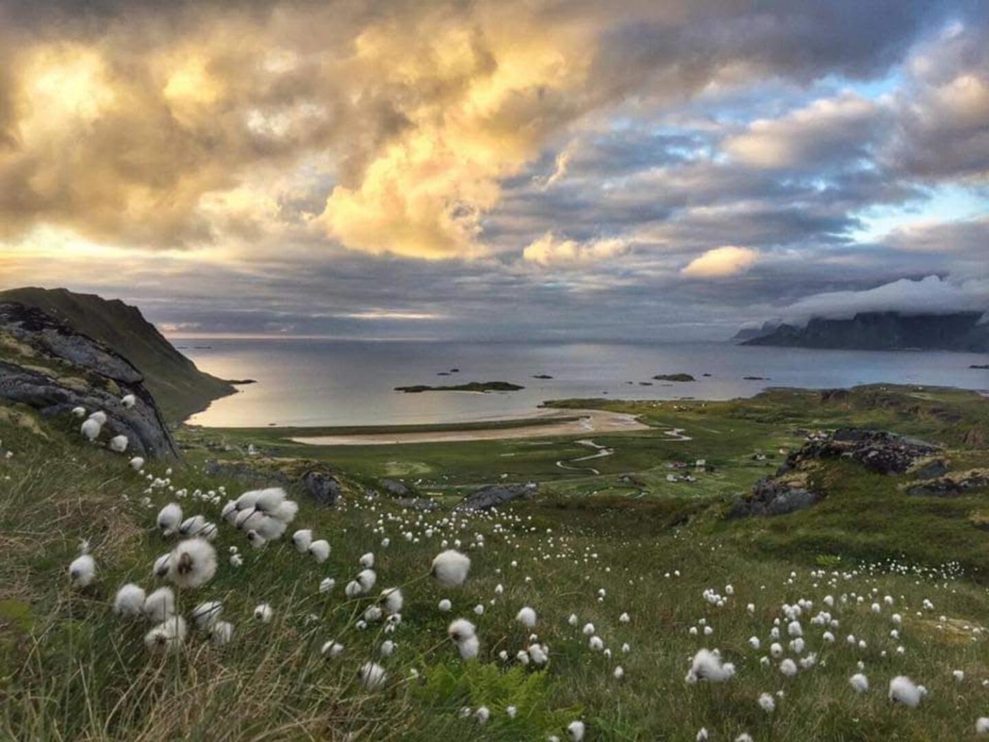 Fredvang Farm House - Lofoten Exterior foto